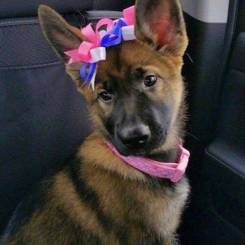 Добрые картинки - image.jpg