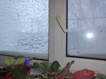 Каждая погода - благодать... - DSC00257.JPG