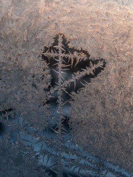 Каждая погода - благодать... - 1923658_922041864538296_3373843322031097823_n.jpg