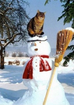 Посиделки - image.jpg