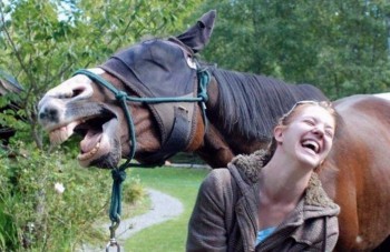 Лошади  - image.jpg