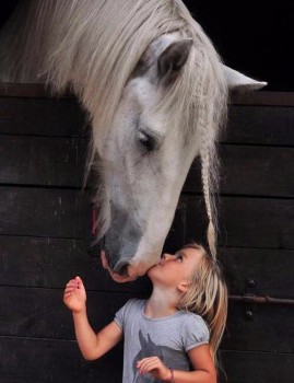 Лошади  - image.jpg