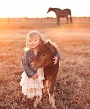 Лошади  - image.jpg