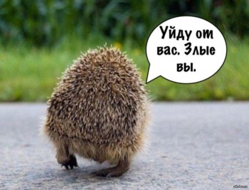 Умом Россию не понять, аршином общим не измерить... - 1431119077_1413637856.jpg