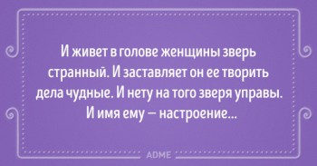 Женская логика - 6176060-650-1454321996-12.jpg