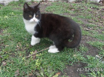 а вот такими стали