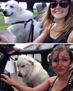 Каждая погода - благодать... - image.jpg