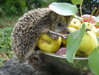 Посиделки - image.jpg