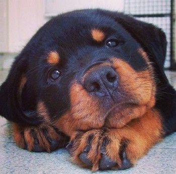 Добрые картинки - image.jpg