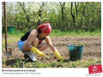 А что бы вам сейчас хотелось? - vesennie-raboty-v-ogorode-0001656757-preview.jpg