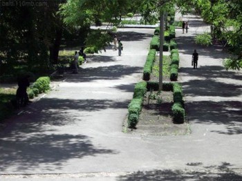 Аллея центрального парка