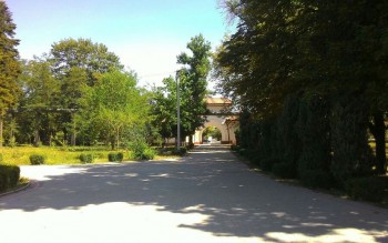 В парке " селекция"