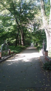 Мостик через речку