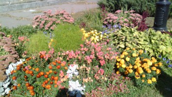 Немного о Липецке... - IMG_20160913_103311.jpg