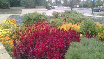 Немного о Липецке... - IMG_20160913_092127.jpg