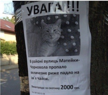 RU - рідна Україна - image.jpg