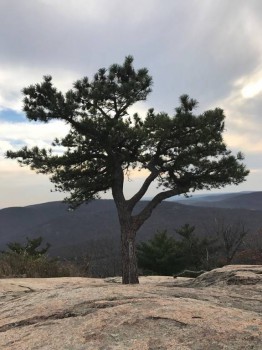 По городам и весям - 18.jpg