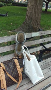 Они такие забавные смешные фото и видео  - 1n.jpg