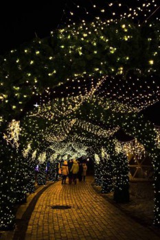 Киев вчера и сегодня - к4.jpg