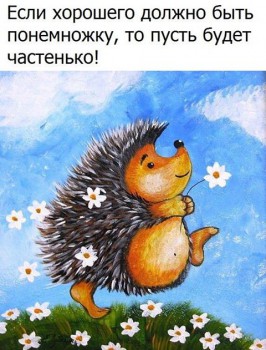 Ёжики, ежи, ежата - 15780779_1169193633176109_5824161006878187253_n.jpg