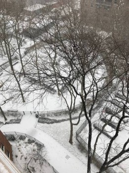 Что вы попросите у Деда Мороза? - c.jpg