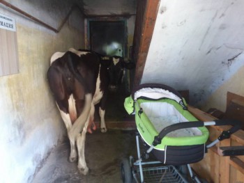 Угадай страну - 5.jpg