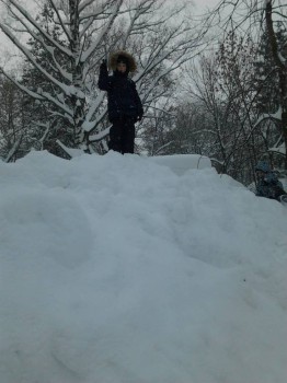 Каждая погода - благодать... - Фото5301.jpg