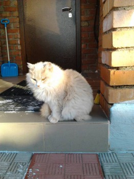 Каждая погода - благодать... - Фото5332.jpg