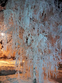 Каждая погода - благодать... - image (7).jpg