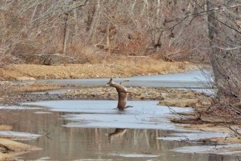 Они такие забавные смешные фото и видео  - f990a58f4c28bcaf4755fa9e853b9c0b.jpg