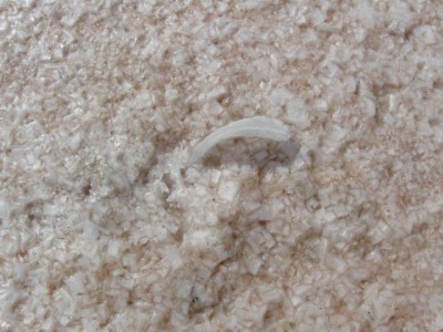 Солепромысел - IMG_0692.jpg