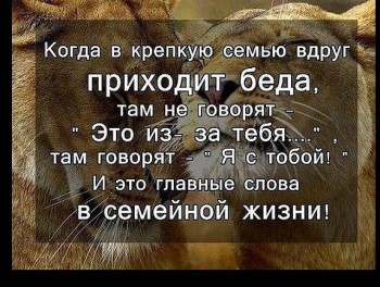 Святоотеческое слово о СЕМЬЕ - h-12147.jpg