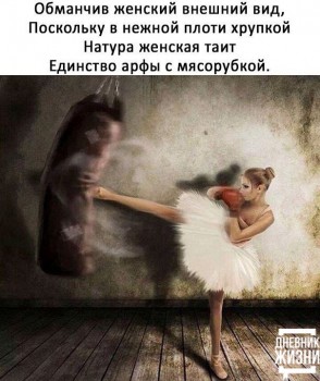 Женская логика - ж.jpg