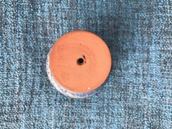 Знаете ли Вы, что...? - 19598844_1683116001717283_7787389978889178920_n.jpg