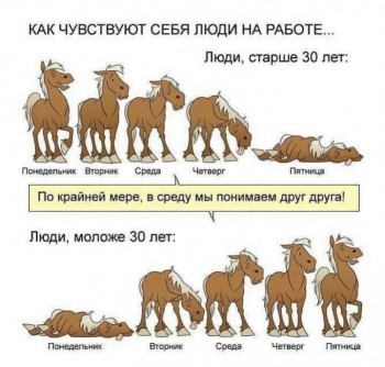 Правда жизни - 20246511_10208626437367774_6877863191533485211_n.jpg