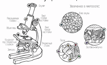 Маме в копилку  - раскраска.PNG