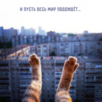 А что бы вам сейчас хотелось? - 20431424_1557711924289410_5373666924730314834_n.png