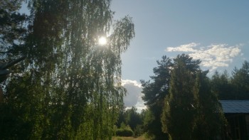 Мещерская сторона - DSC_2761.JPG