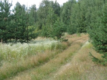 Мещерская сторона - DSC00561.JPG