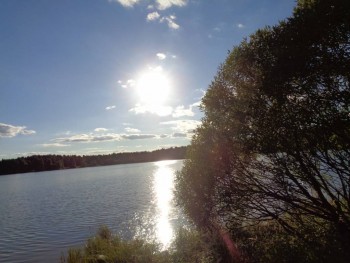 Мещерская сторона - DSC00790.JPG