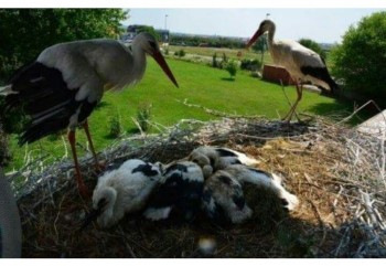 Любовь не умирает - _20170819_135444.JPG