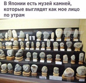 Интересное в интернете - bGoE1gd2_Zk.jpg