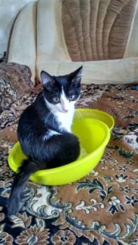 Посиделки - IMG_20170921_122857_HDR.jpg