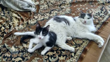 Посиделки - IMG_20170904_094436_HDR.jpg