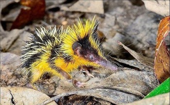 Аватар, аватар, аватар.... - image (1).jpg