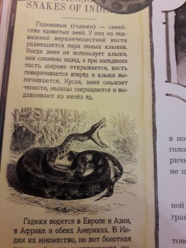 Читательский дневник маленького христианина - 20171029_094932.jpg