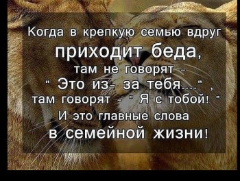 Святоотеческое слово о СЕМЬЕ - h-742.jpg