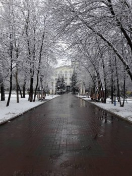 Каждая погода - благодать... - 20171116_140411.jpg