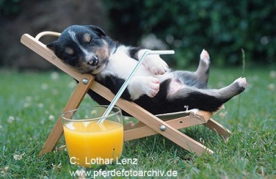 Они такие забавные смешные фото и видео  - f811ffb502d4.jpg