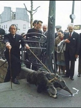 Из жизни знаменитых людей - _20171125_200745.JPG